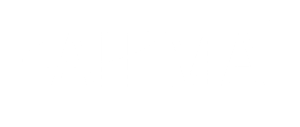AHIMA Logo